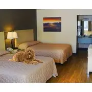Hotel Virgin River and Casino