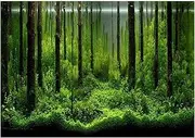Fish Tank Background Paper, Fish Tank Poster, Adhesive Underwater Forest Tank Colorful for Fish Tank Home Aquarium Cafe(91 * 50cm)