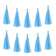25Pcs Sky Blue Tassel Garland Banner with Rope