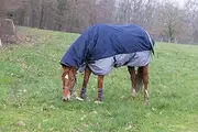 EKKIA Equestrian Equipment E-TH.CMB 600D 200G NY/Gry 4'9 400919749 400919749