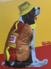Oscar Mayer Hot Dog Halloween Costume Pet Size Large NWT