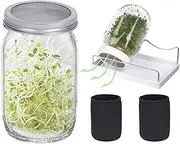 Germination Jars - Mmason Jar Germination Kit with 2 x 950ml Large Glass Jars, Lids & Mesh Lids | Germination Set of