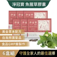 在飛比找PChome24h購物優惠-SPOTLESS 植靠淨 淨冠寶膠囊-魚腥草除廢配方6盒組(