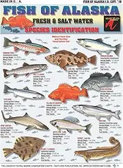 Fish of Alaska Species Identification #16 (Freshwater & Saltwater) - Waterproof Quick Reference Guide | Portable & Built to Last | Double-Sided & Easy to Read | (Size, Location, and Food Quality)