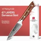 Full Tang Paring Knife 67 Layers Damascus Steel Wood Handle Hammered Cut Slicing