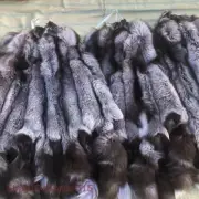 Tanned Silver Fox Skin Fur Pelts Soft Dense Real Leather Hides 39-47 Inch