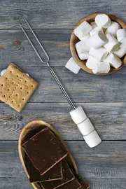 Toasty Marshmallow Skewers Set Of 4--IS-5200176