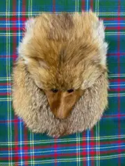 Masked Sporran Red Fox scottish celtic bag Scottish Kilt fur Sporran