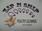 Purple LEG BANDS (ONE) size fits (ALL) POULTRY Chicken Duck Turkey PheasantGeese