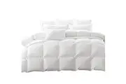 Dreamz 500GSM All Season Goose Down Feather Quilt King