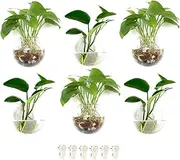 6-Pack Wall Hanging Planters Glass Terrariums - Round Air Plants Wall Containers Succulents Globe Orbs (4.7 x 4.7 Inches)