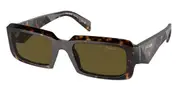 Prada PR 27ZS 19J09Z Men Sunglasses