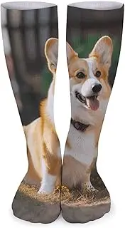 [GHBNK] Crew Athletic Socks Dog Corgi Soft Cotton Socks 5 Pack Winter Warm Stockings for Women Men, Dog Corgi, 15-15.5, Dog Corgi, 15-15.5