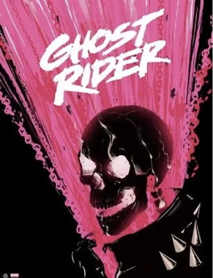 brand new Doaly Ghost Rider Variant poster Sold Out Mondo Bottleneck Greymatter
