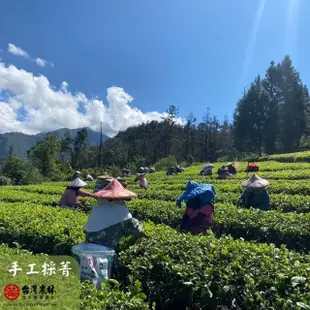 【台灣農林】嚴選苗栗東方美人茶(50g/罐)