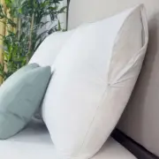 Pacific Coast Feather Protect-A-Bed Basic Waterproof Pillow Protector - Standard