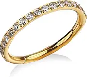 [FINE4U] ASTM F136 Titanium Piercing Jewelry Chain Nose Hoop Ring Gold 16G 8mm 10mm 11mm 12mm for Cartilage, Helix, Conch, Daith, Rook, Body Implant Grade, Hypoallergenic Hinged Clicker