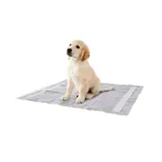 Puppy Pad Charcoal 20 Pack