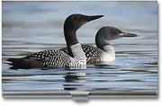 [VFMKT] Slim Metal Business Card Holder Portable Business Card Case Pocket Name Card Holder Loon Birds Wallet for Men Women Office Travel, style, One Size