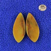 EA19528# 1 Pair Natural genuine Gemstone matched Amazonite earrings Cab