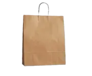 Brown Kraft Bag With Twisted Paper Handle - Medium Plus (250pcs/ctn)