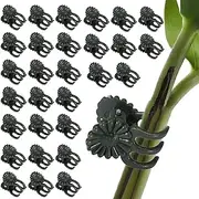 Plant Clips, Plant Climbing Plant Support Clip Plastic Orchid Clips Flower and Vine Clips Garden Trellis Clips Vine for Supporting Stems Vines Grow Upright Dark Green Stem Clip (50)