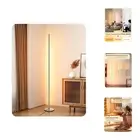 LED Corner Floor Lamp, Minimalist Dimmable Light with Remote, Standing LED 57...