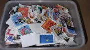 Netherlands Off Paper Stamp Mix in Medium Takeaway Container