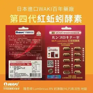 【日本WAKI百年藥廠 第四代紅蚯蚓酵素】隆菩順RLumbricus RN 蚓激酶HLP(高活性地龍10粒)