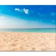 Beautiful Beach and Tropical Sea Print 100% Australian Made 150 x 100cm (Stretched)