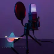 Podcasting Microphone Gaming Microphone On-the-go Recording Convenient Size
