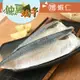 ▸端午送蝦仁◂(8片組)南方澳薄鹽白腹鯖魚片(150g/片) #定置漁網
