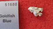Games Workshop Warhammer Vampire Counts Undead Dire Wolf Chaos Hound Metal Head
