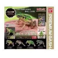 在飛比找蝦皮商城精選優惠-【BTF】現貨 BANDAI 扭蛋 生物大圖鑑 黑斑側褶蛙 