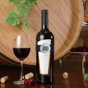 Digital LCD Wine Bottle Thermometer Bracelet
