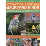 A PRACTICAL ILLUSTRATED GUIDE TO ATTRACTING & FEEDING BACKYARD BIRDS: THE COMPLETE BOOK OF BIRD FEEDERS, BIRD TABLES, BIRDBATHS,