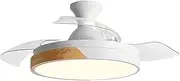 Modern Flush Mount Ceiling Fan with Light,1/2/4/8h Timer,6 Speeds,Reversible,LED Ceiling Light with Fan for Child,Dimmable 3 Color Temperature,Pure Copper Silent Motor