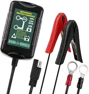 Leona Co 6V 12V Battery Charger 1.5A Automatic Smart Charger Battery maintainer trickle,Float Charger for auto car Motorcycle Lawn Mower Boat Snowmobile