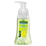 Palmolive Antibacterial Liquid Hand Wash Lime 250ml