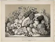 American Fruit Piece,1859,Currier & Ives Photo,Grapes,Peaches,Pineapple,Berries