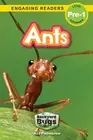 Ava Podmorow Ants (Paperback) Backyard Bugs and Creepy-Crawlies
