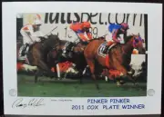 PINKER PINKER 2011 Cox Plate signed Print
