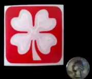 Four leaf Clover Glitter Tattoo Stencil Pack
