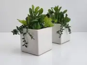 2-Pack Cactus Artificial Succulent Fake Plants Ceramic White Planter Pot 4x4x7