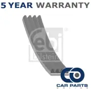 Alternator Belt CPO Fits Peugeot Boxer Fiat Ducato Citroen Relay Palio 5750WT