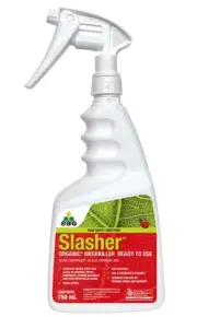 Organic WeedKiller RTU 750ml OCP SLASHER