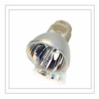在飛比找Yahoo!奇摩拍賣優惠-投影機燈泡原裝奧圖碼DW318e DX318e X308ST