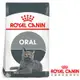 Royal Canin法國皇家 O30強效潔牙成貓飼料 1.5kg 2包組