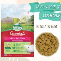 在飛比找蝦皮購物優惠-❤️寵愛食嗑❤️愛寶 OXBOW 活力大鼠主食 花枝鼠飼料 