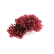 Short Curly Bangs Drawstring Afro Chignon Short Ponytail Kinky Curly with Bangs Fringe Synthetic Hair